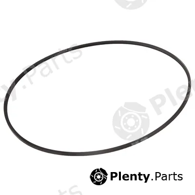 Bapmic BF0427580161 — V-Ribbed Belt