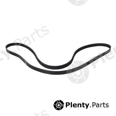 Bapmic BF0427580002 — V-Ribbed Belt
