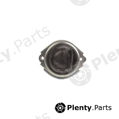 Bapmic BF0428140396 — Mounting, engine