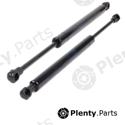 Bapmic ATPP12KIT019 — Gas Spring, boot/cargo area