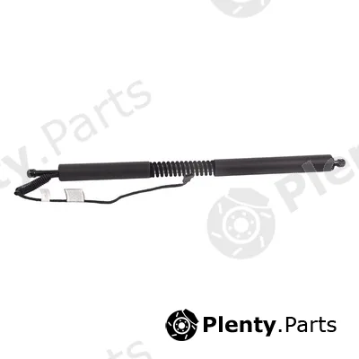 Bapmic BF0113480119 — Gas Spring, boot/cargo area