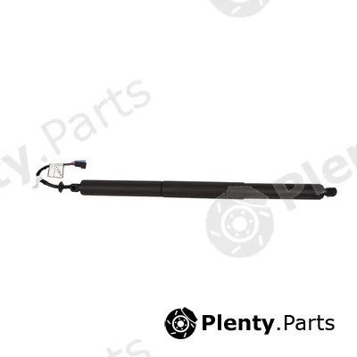 Bapmic BF0113480127 — Gas Spring, boot/cargo area