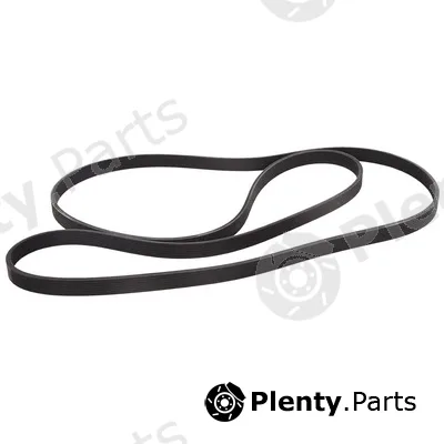 Bapmic BF0427580021 — V-Ribbed Belt