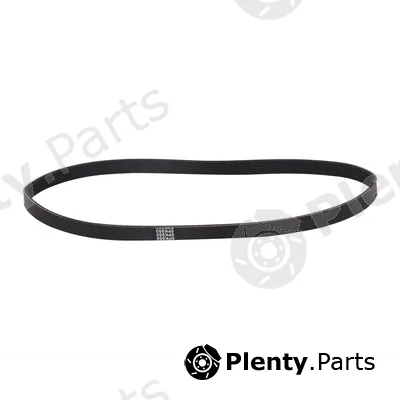 Bapmic BF0422530004 — V-Ribbed Belt