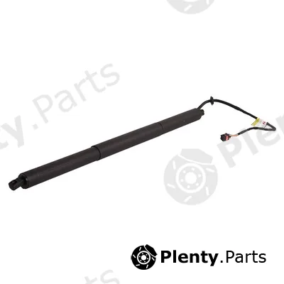 Bapmic BF0113480027 — Gas Spring, boot/cargo area