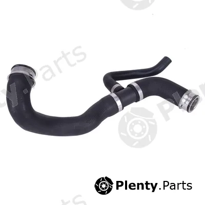 Bapmic TOPT1113052 — Radiator Hose
