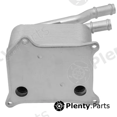Bapmic TOPT1308024 — Oil Cooler, engine oil