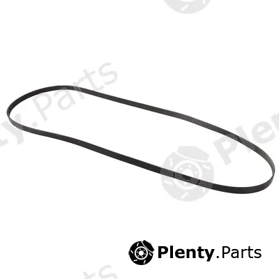Bapmic BF0427580165 — V-Ribbed Belt