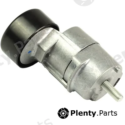 Bapmic BACB61-234009 — Tensioner Lever, V-ribbed belt