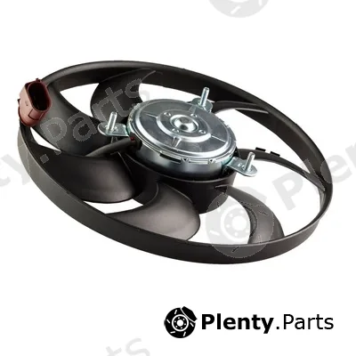 Bapmic TOPT1307063 — Fan, engine cooling