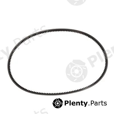Bapmic BF0436710030 — V-Belt