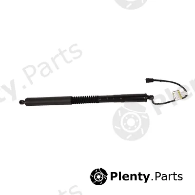 Bapmic BF0113480114 — Gas Spring, boot/cargo area