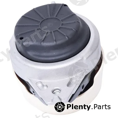 Bapmic BF0428140192 — Mounting, engine