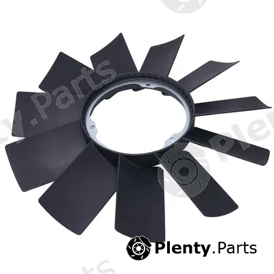 Bapmic TOPT1204002 — Fan Wheel, engine cooling