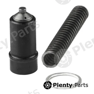 Bapmic BACB11-183010 — Tensioner, timing chain