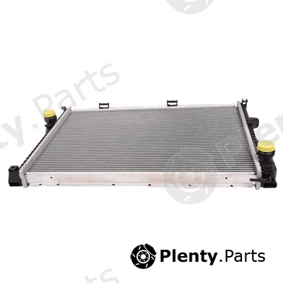 Bapmic TOPT1201043 — Radiator, engine cooling