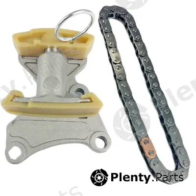 Bapmic BACB13-KIT001 — Timing Chain Kit