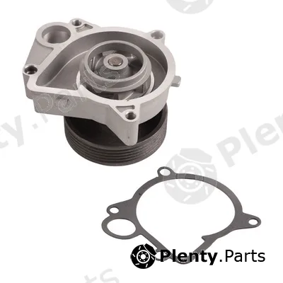 Bapmic TOPT1205005 — Repair Kit, water pump