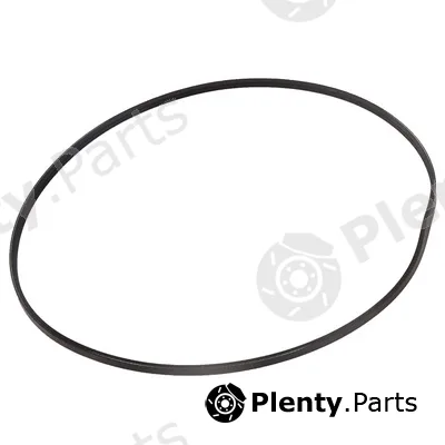 Bapmic BF0427580162 — V-Ribbed Belt