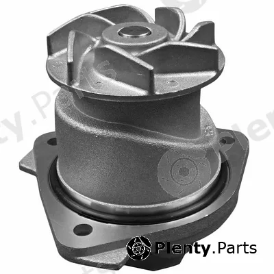Bapmic TOPT1305009 — Water Pump, engine cooling