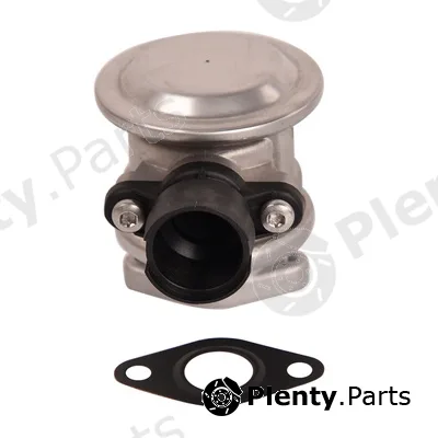 Bapmic BF0425810036 — EGR Valve