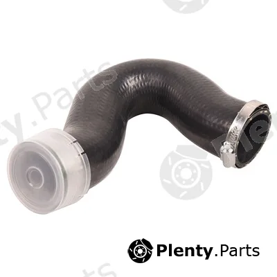 Bapmic BF0422700299 — Charge Air Hose