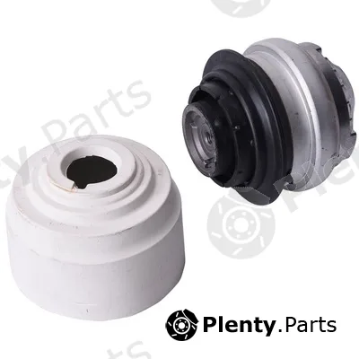 Bapmic BACB11-205013 — Mounting, engine