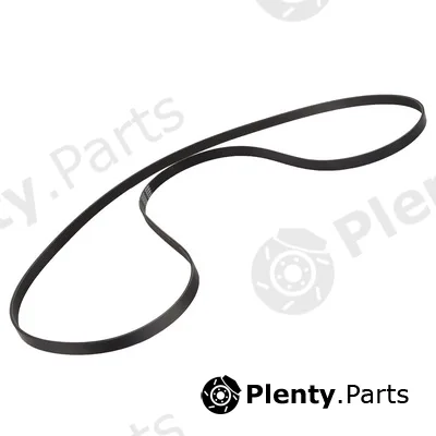 Bapmic BF0427580167 — V-Ribbed Belt