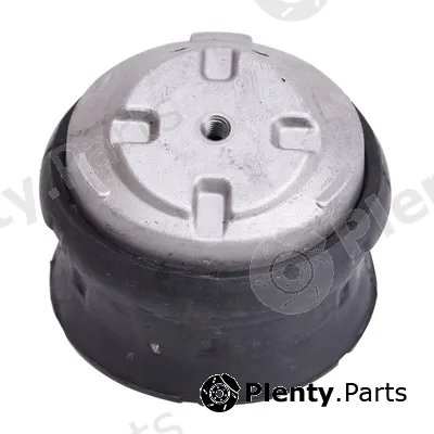 Bapmic BACB11-205028 — Mounting, engine