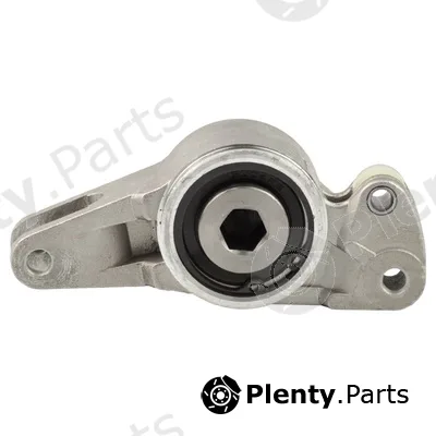 Bapmic BACB11-234030 — Tensioner Lever, V-ribbed belt