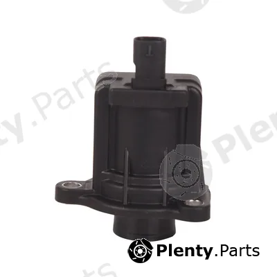 Bapmic BF0437250010 — Recirculating Air Valve, charger