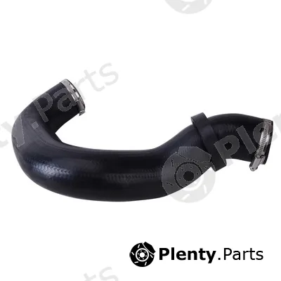 Bapmic BF0422700169 — Charge Air Hose