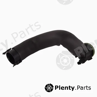 Bapmic EF0424710008 — Hose, crankcase ventilation