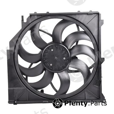Bapmic TOPT1207019 — Fan, engine cooling