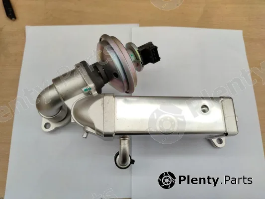 Bapmic BF0425820022 — EGR Valve
