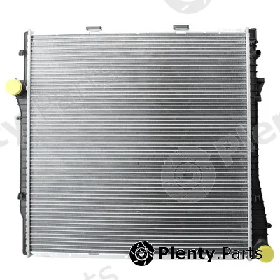 Bapmic TOPT1201041 — Radiator, engine cooling