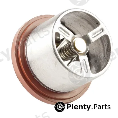 Bapmic TOPT1306008 — Thermostat, coolant