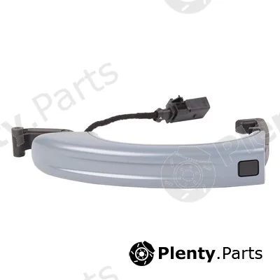 Bapmic ATPP1314202005 — Exterior Door Handle