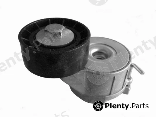 Coram CT1009 — Belt Tensioner, V-ribbed belt