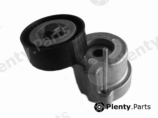 Coram C989 — Belt Tensioner, V-ribbed belt