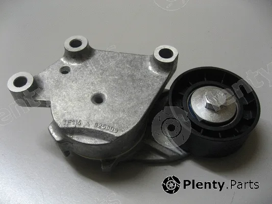 Coram C890 — Belt Tensioner, V-ribbed belt
