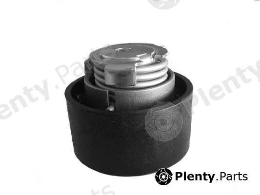 Coram CT1019 — Tensioner Pulley, timing belt