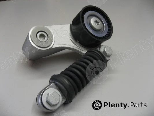 Coram C874 — Belt Tensioner, V-ribbed belt