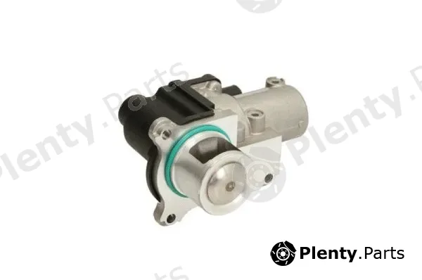 EGR Module