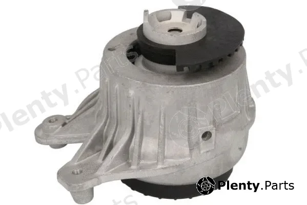 Reinhoch RH11-3106 — Mounting, engine