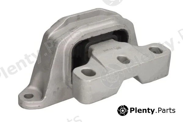 Reinhoch RH11-0172 — Mounting, engine
