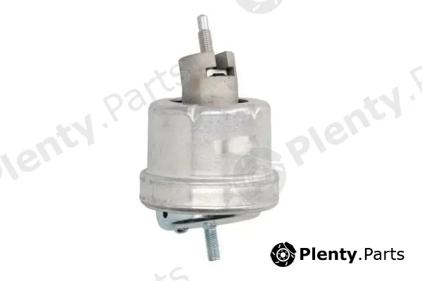 Reinhoch RH11-5021 — Mounting, engine