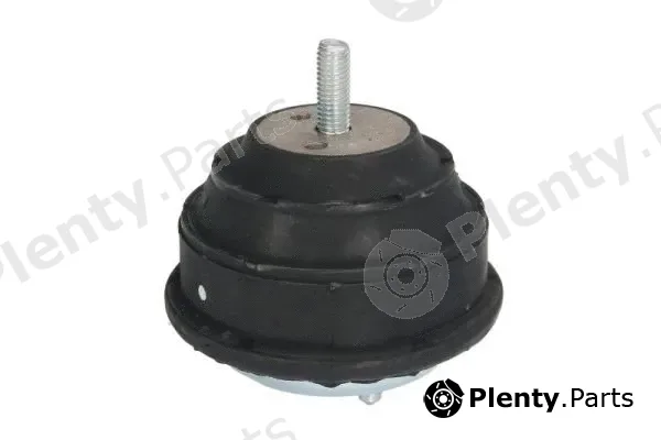 Reinhoch RH11-3028 — Mounting, engine