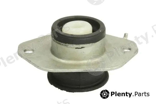 Reinhoch RH11-5072 — Mounting, engine