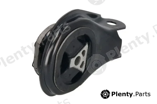 Reinhoch RH11-4000 — Mounting, automatic transmission